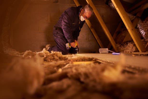 Best Batt and Roll Insulation  in Palacios, TX